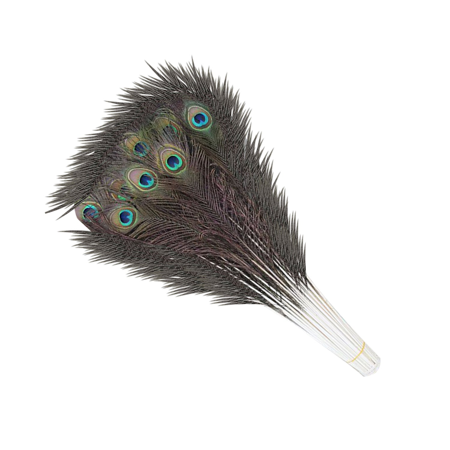 Peacock Feathers - Medium