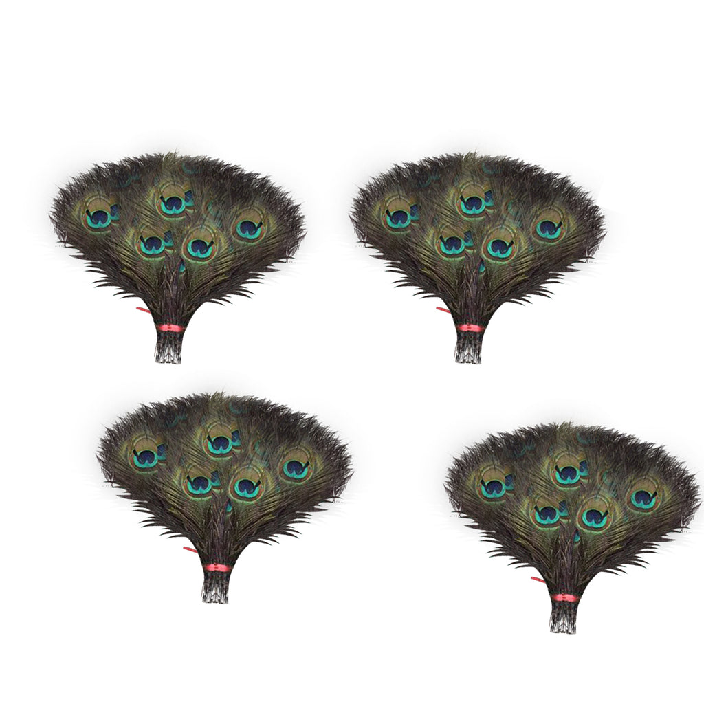 Peacock Feathers - Small