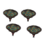 Peacock Feathers - Small