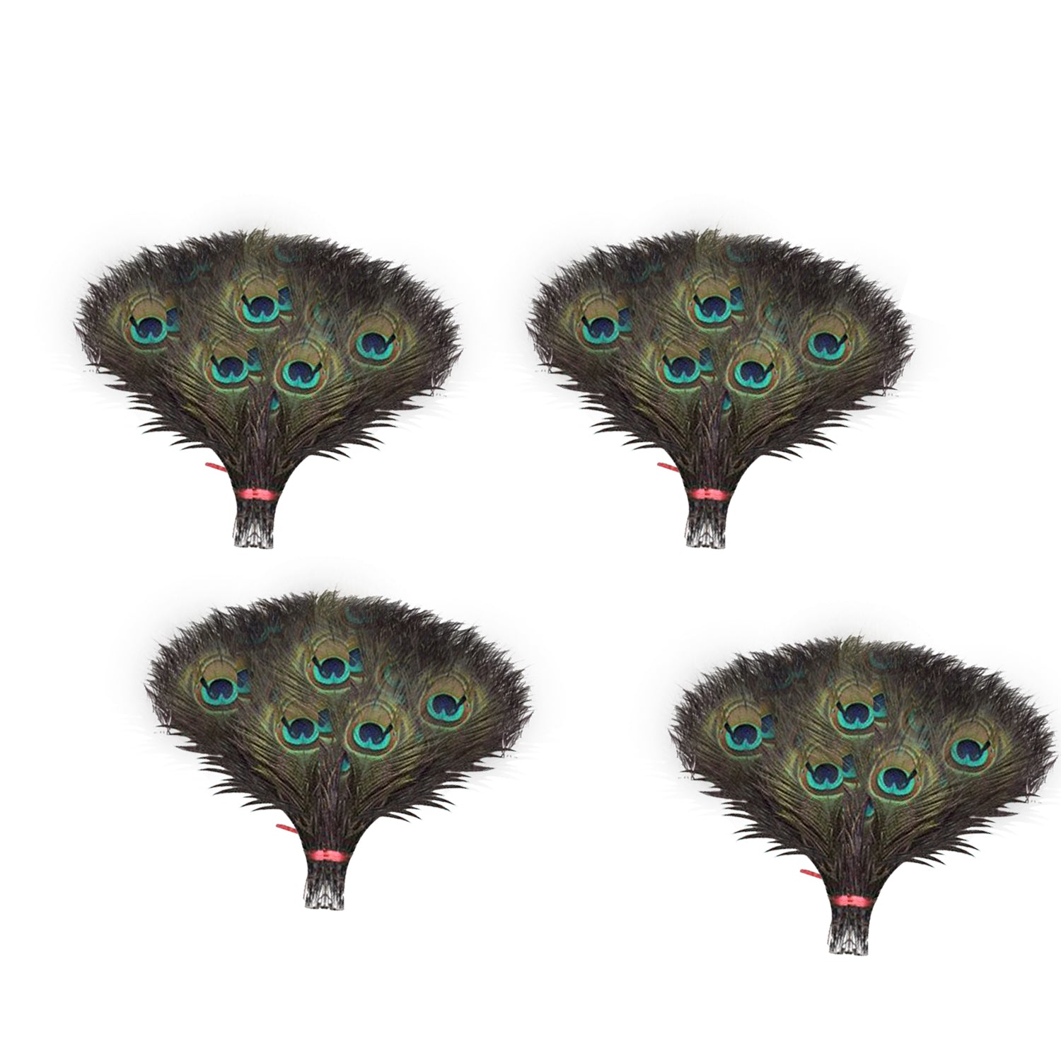 Peacock Feathers - Small