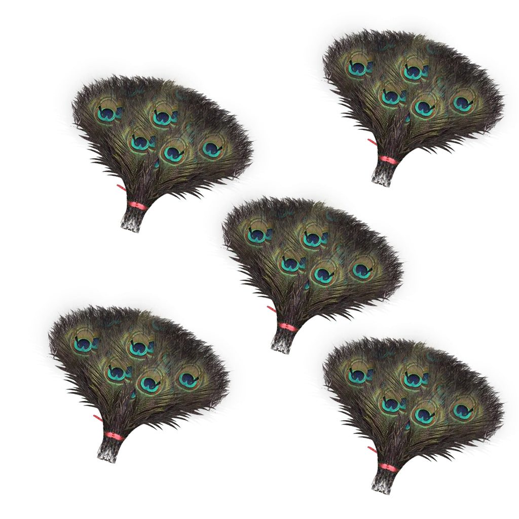 Peacock Feathers - Small