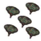 Peacock Feathers - Small