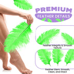50-60cm Loose Ostrich Feathers, 5pcs - Green