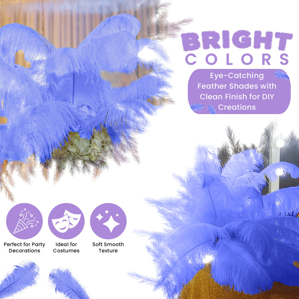 50-60cm Loose Ostrich Feathers, 5pcs - Royal Blue