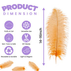 50-60cm Loose Ostrich Feathers, 5pcs - Orange