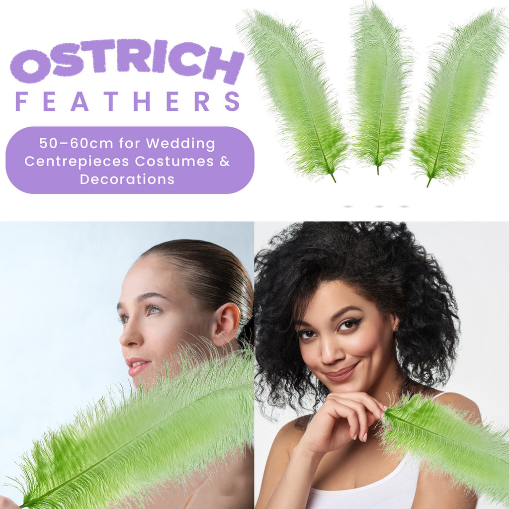 50-60cm Loose Ostrich Feathers, 5pcs - Mint