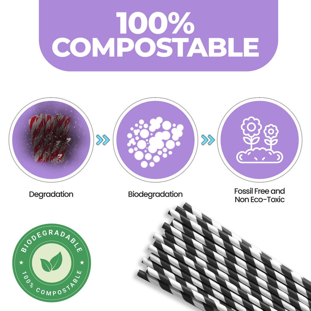 Black & White Biodegradable Paper Straws