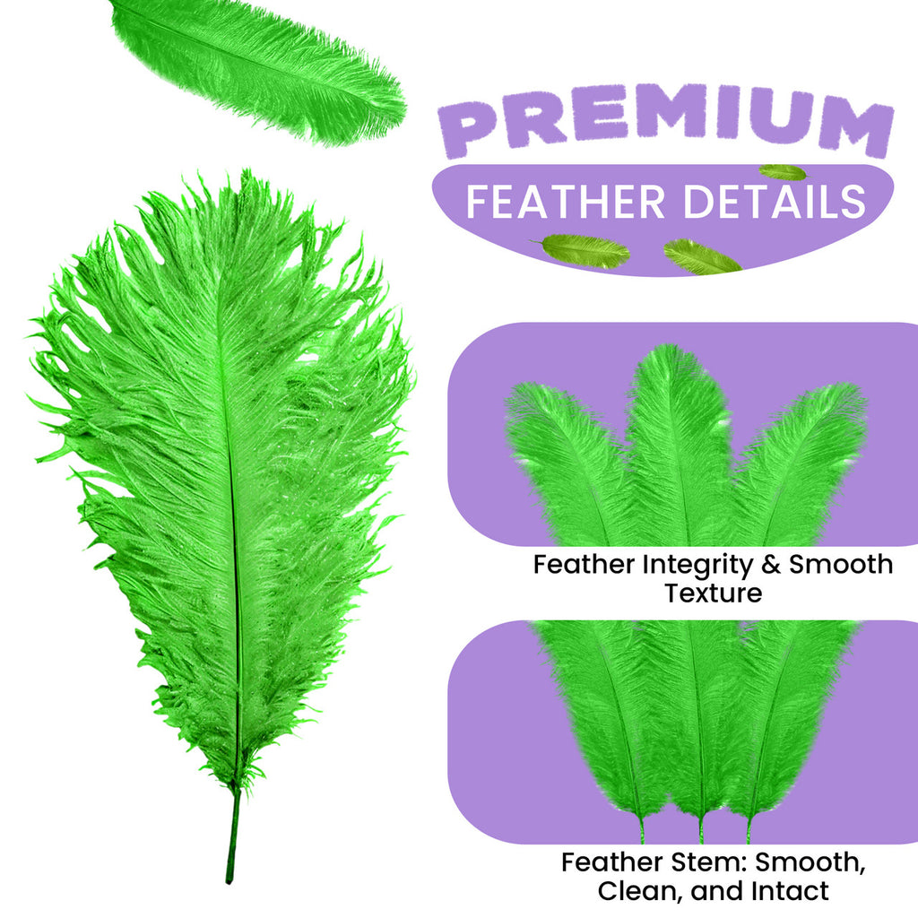 35-40cm Loose Ostrich Feathers, 5pcs - Green