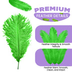 35-40cm Loose Ostrich Feathers, 5pcs - Green