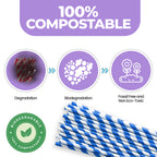 Blue & White Biodegradable Paper Straws