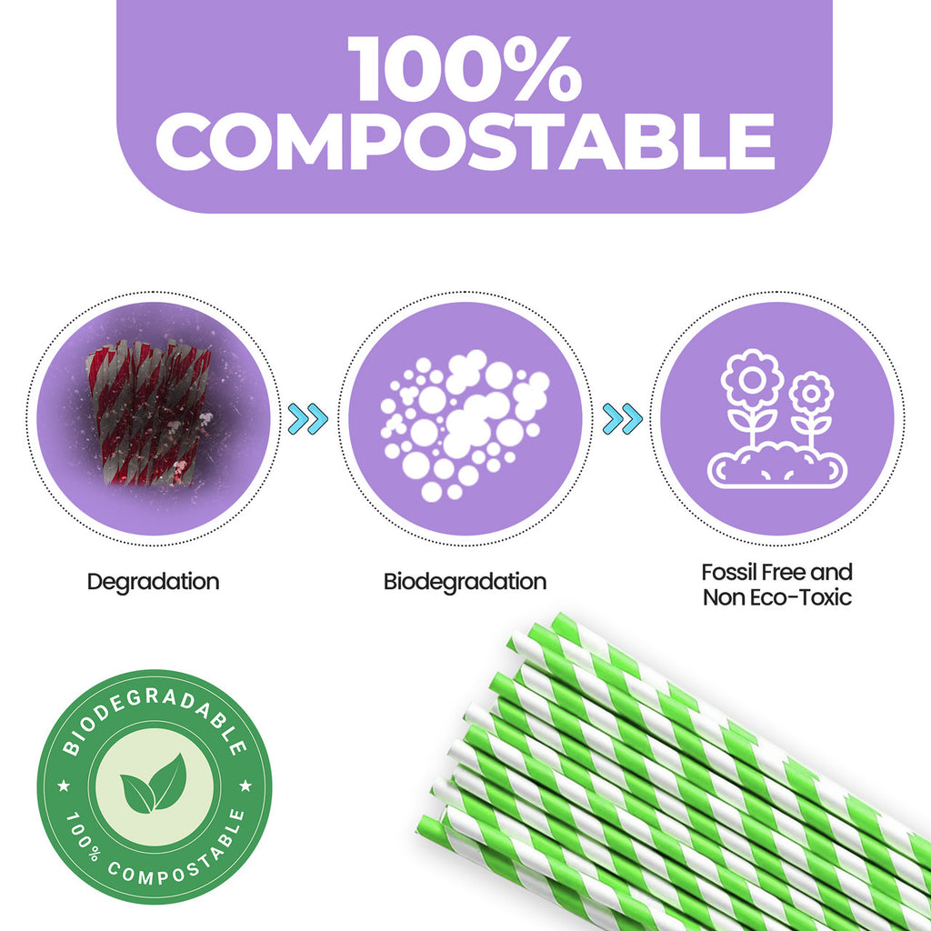 Green & White Biodegradable Paper Straws
