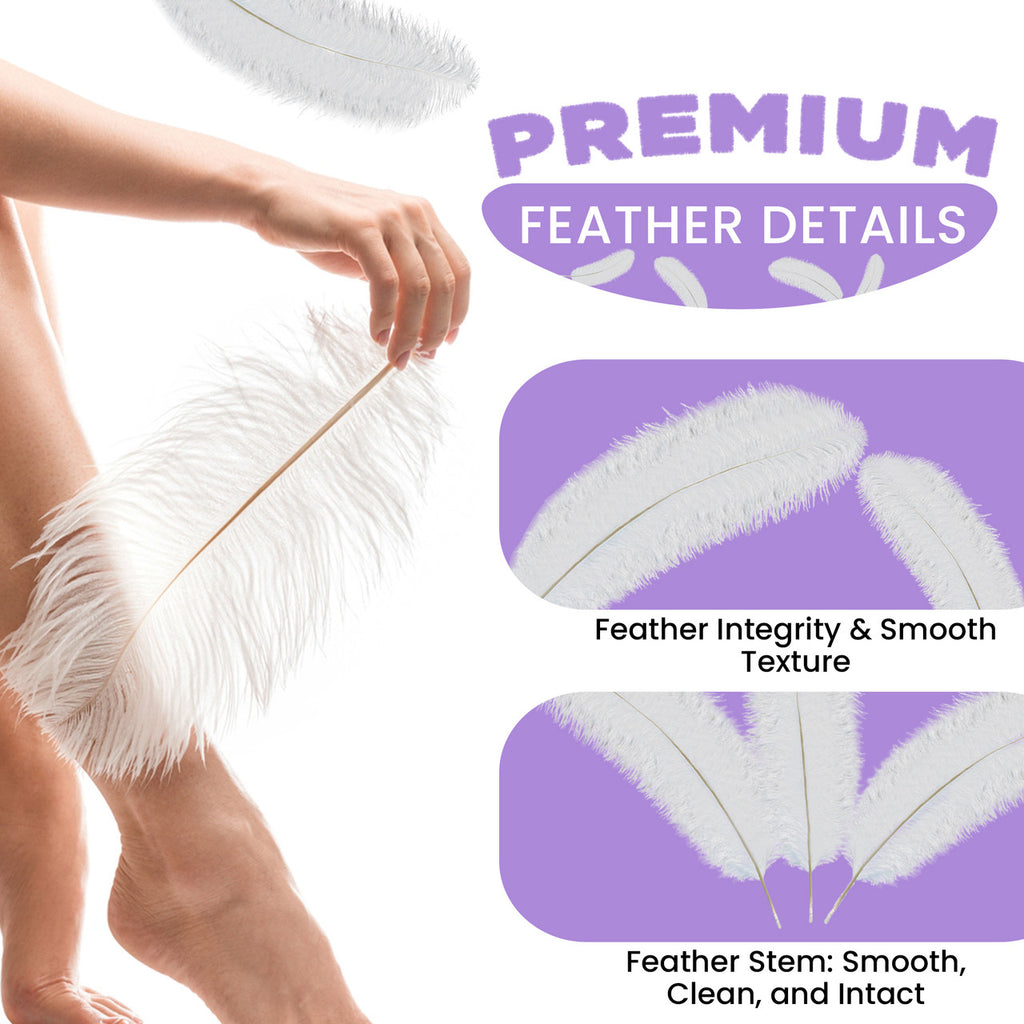 50-60cm Loose Ostrich Feathers, 5pcs - Baby Blue