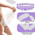 50-60cm Loose Ostrich Feathers, 5pcs - Baby Blue