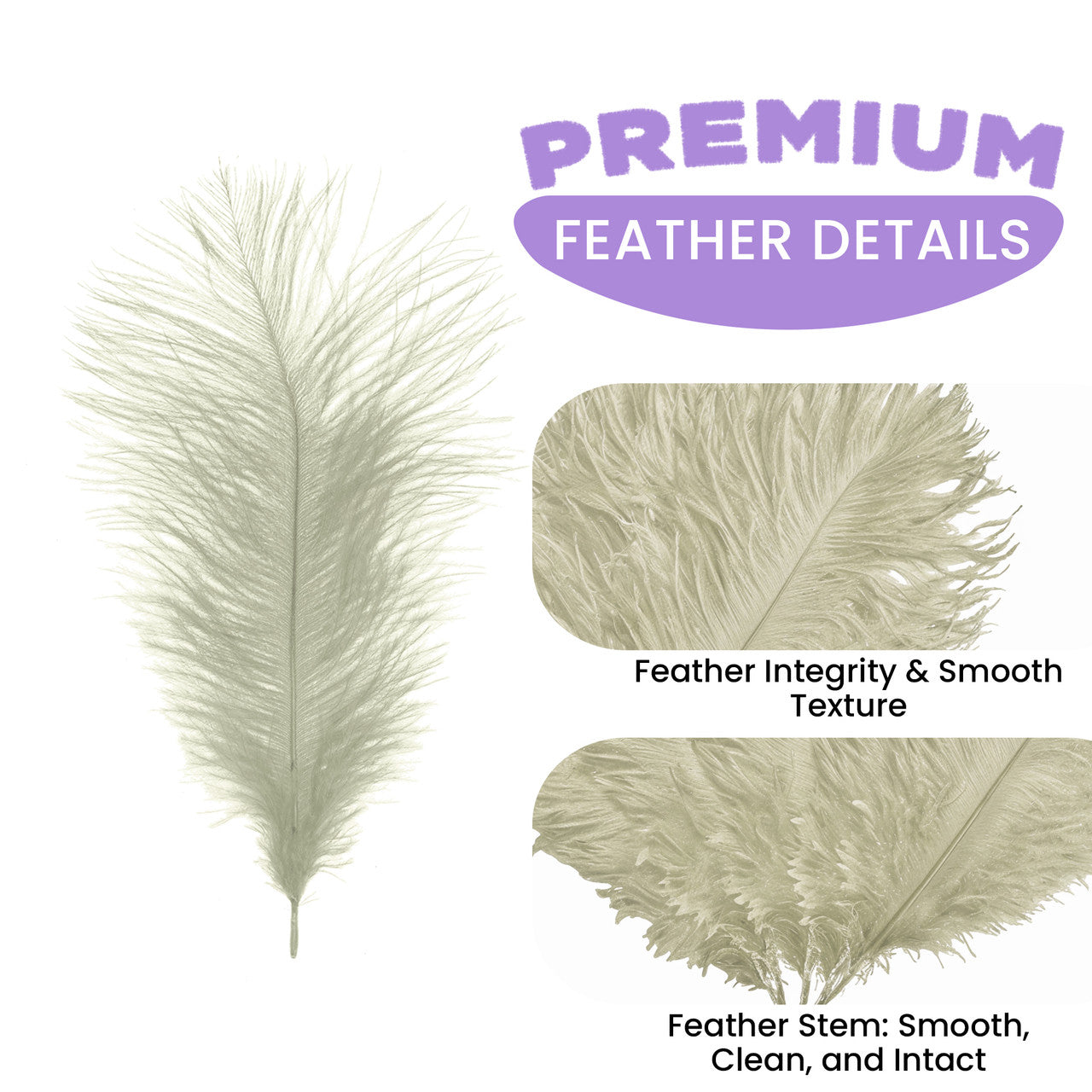 35-40cm Loose Ostrich Feathers, 5pcs - Ivory