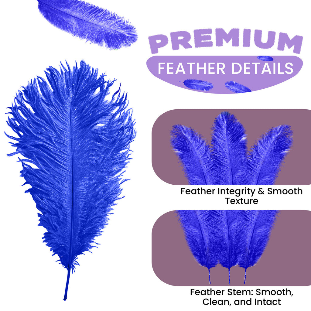 35-40cm Loose Ostrich Feathers, 5pcs - Royal Blue