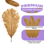 35-40cm Loose Ostrich Feathers, 5pcs - Gold