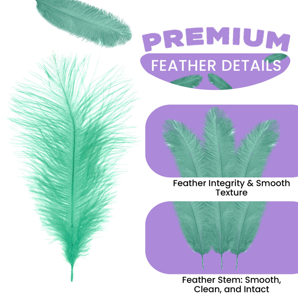 35-40cm Loose Ostrich Feathers, 5pcs - Mint