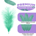 35-40cm Loose Ostrich Feathers, 5pcs - Mint