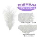 35-40cm Loose Ostrich Feathers, 5pcs - White