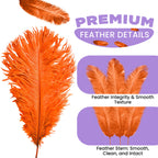 35-40cm Loose Ostrich Feathers, 5pcs - Orange