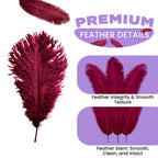 35-40cm Loose Ostrich Feathers, 5pcs - Burgundy