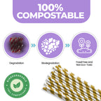 Gold & White Biodegradable Paper Straws
