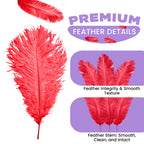 35-40cm Loose Ostrich Feathers, 5pcs - Red