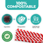 Red & White Striped Biodegradable Paper Straws