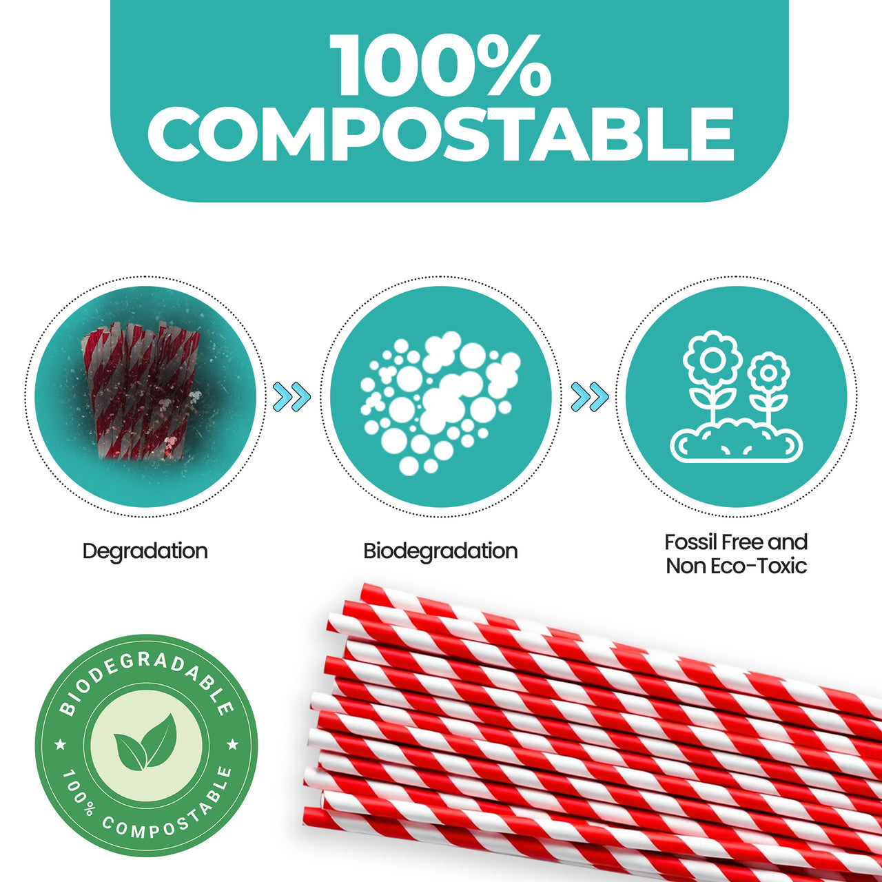 Red & White Striped Biodegradable Paper Straws