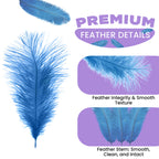 35-40cm Loose Ostrich Feathers, 5pcs - Baby Blue
