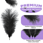 35-40cm Loose Ostrich Feathers, 5pcs - Black