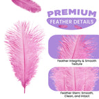35-40cm Loose Ostrich Feathers, 5pcs - Baby Pink