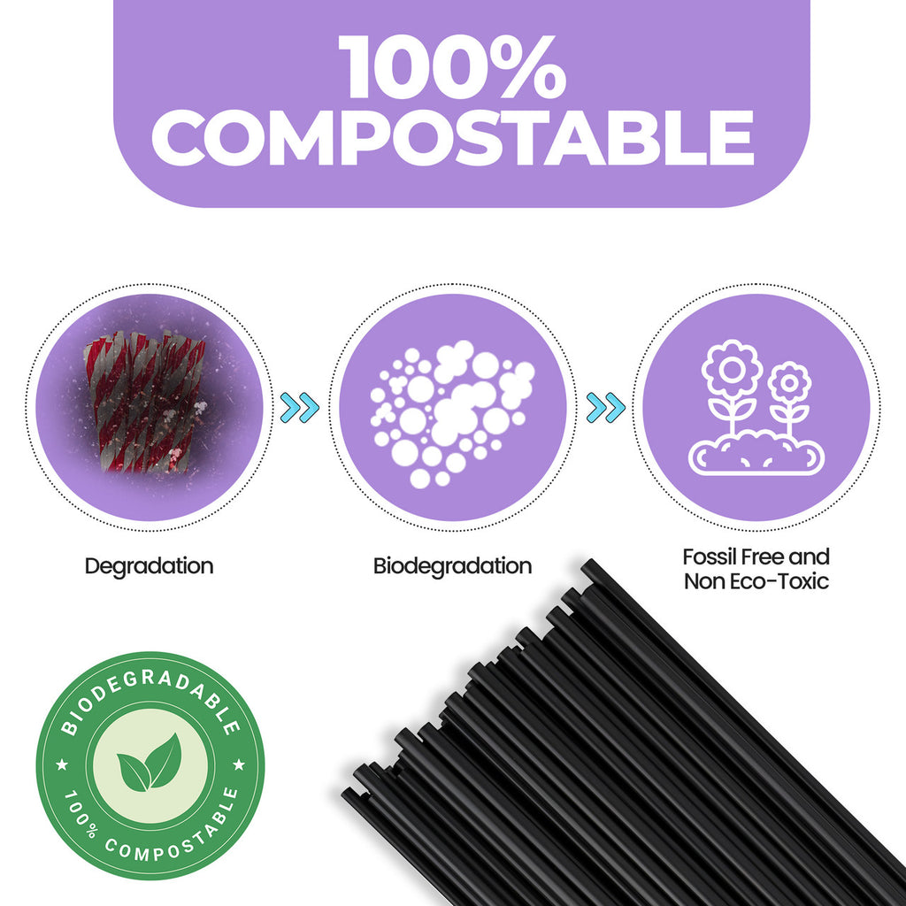 Black Biodegradable Paper Straws