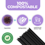 Black Biodegradable Paper Straws