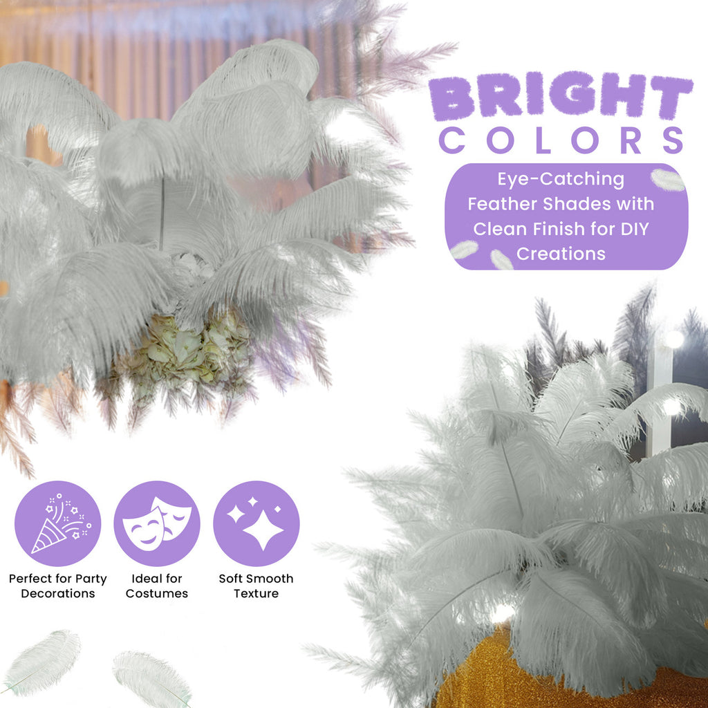 50-60cm Loose Ostrich Feathers, 5pcs - Silver