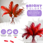 35-40cm Loose Ostrich Feathers, 5pcs - Red