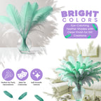 35-40cm Loose Ostrich Feathers, 5pcs - Mint