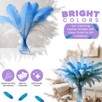35-40cm Loose Ostrich Feathers, 5pcs - Baby Blue