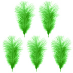 35-40cm Loose Ostrich Feathers, 5pcs - Green