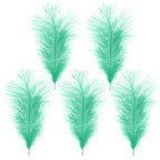 35-40cm Loose Ostrich Feathers, 5pcs - Mint