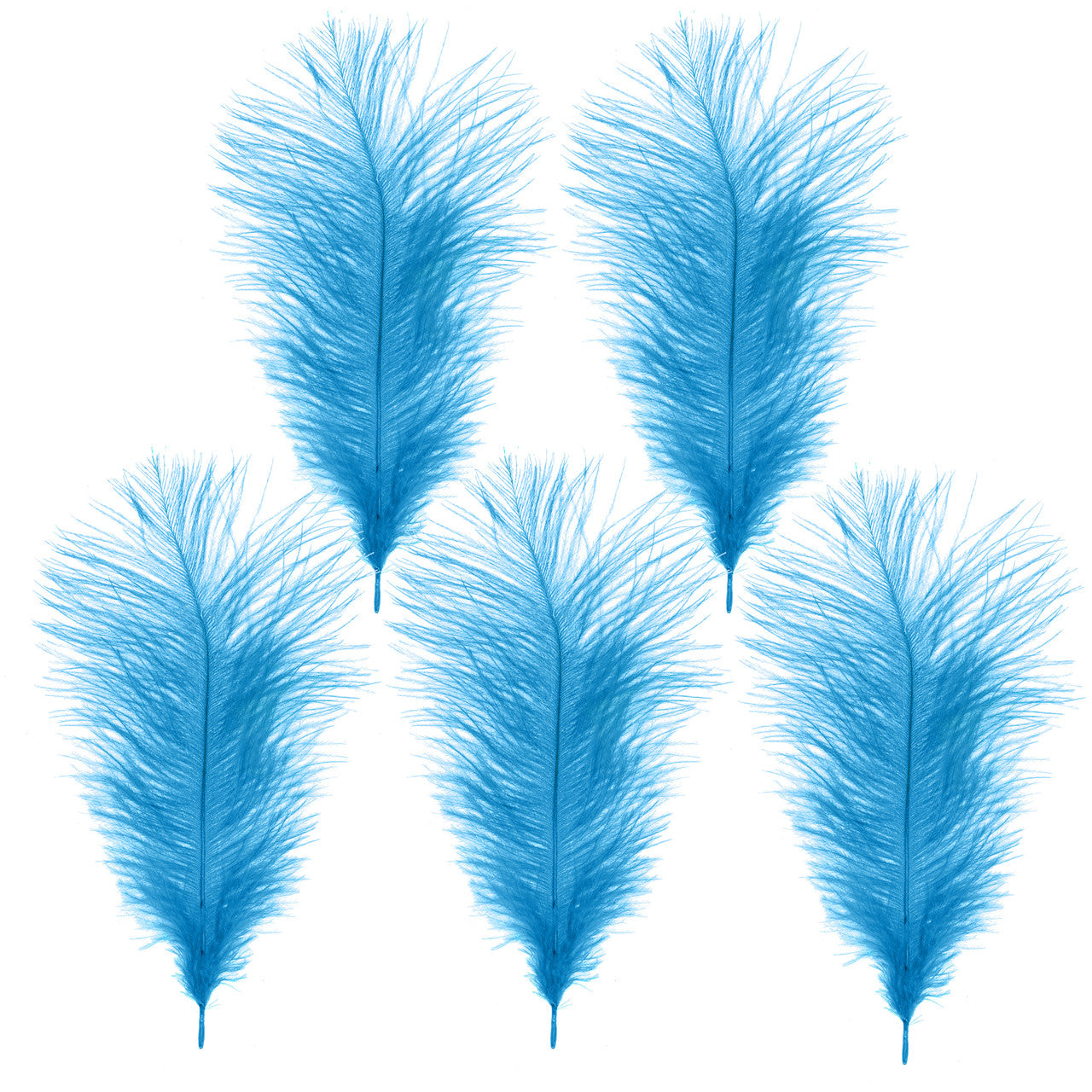 35-40cm Loose Ostrich Feathers, 5pcs - Turquoise