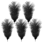35-40cm Loose Ostrich Feathers, 5pcs - Black