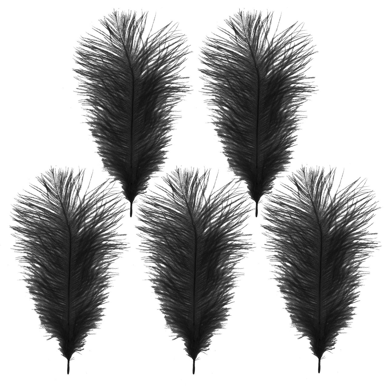 35-40cm Loose Ostrich Feathers, 5pcs - Black