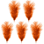 35-40cm Loose Ostrich Feathers, 5pcs - Orange