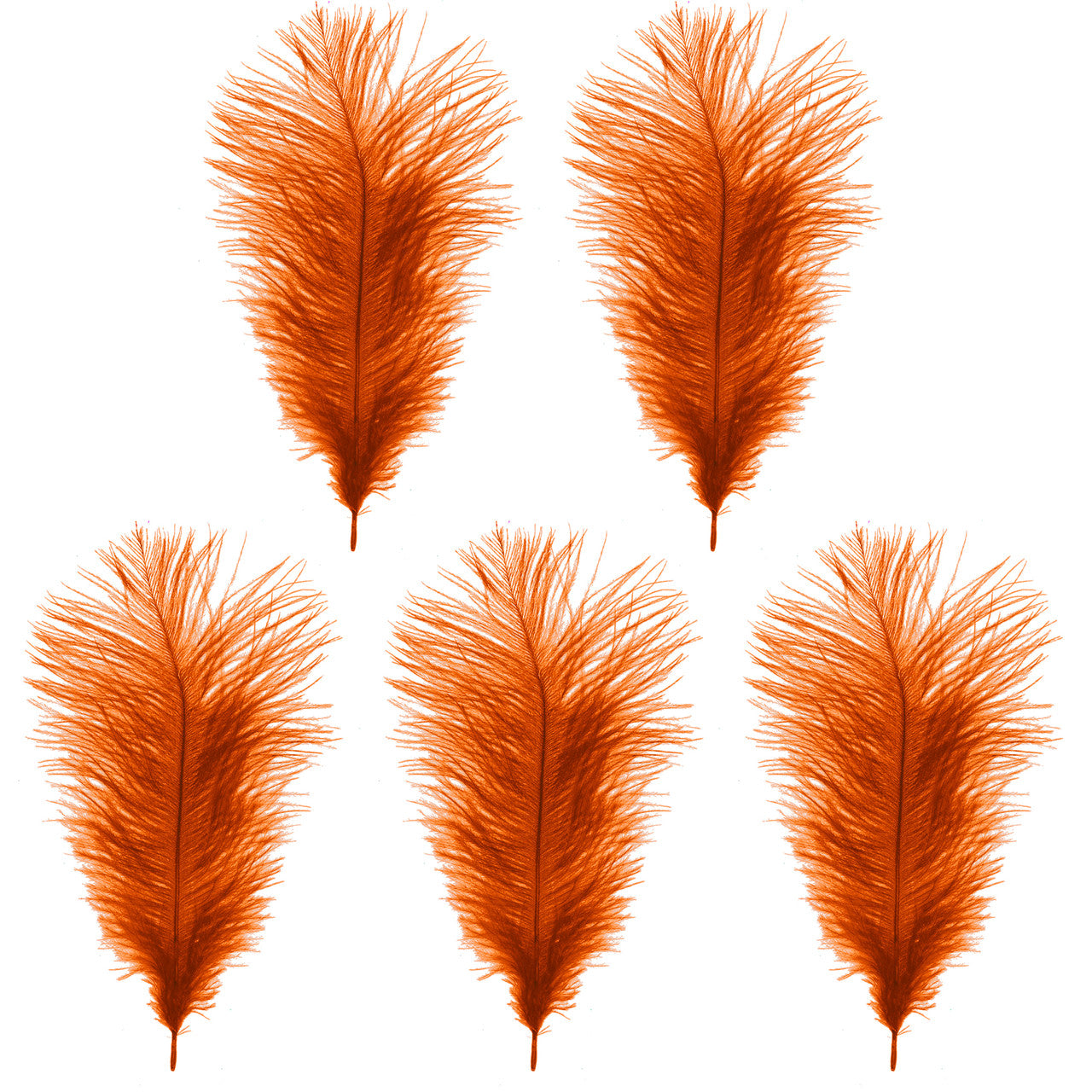 35-40cm Loose Ostrich Feathers, 5pcs - Orange