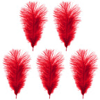 35-40cm Loose Ostrich Feathers, 5pcs - Red