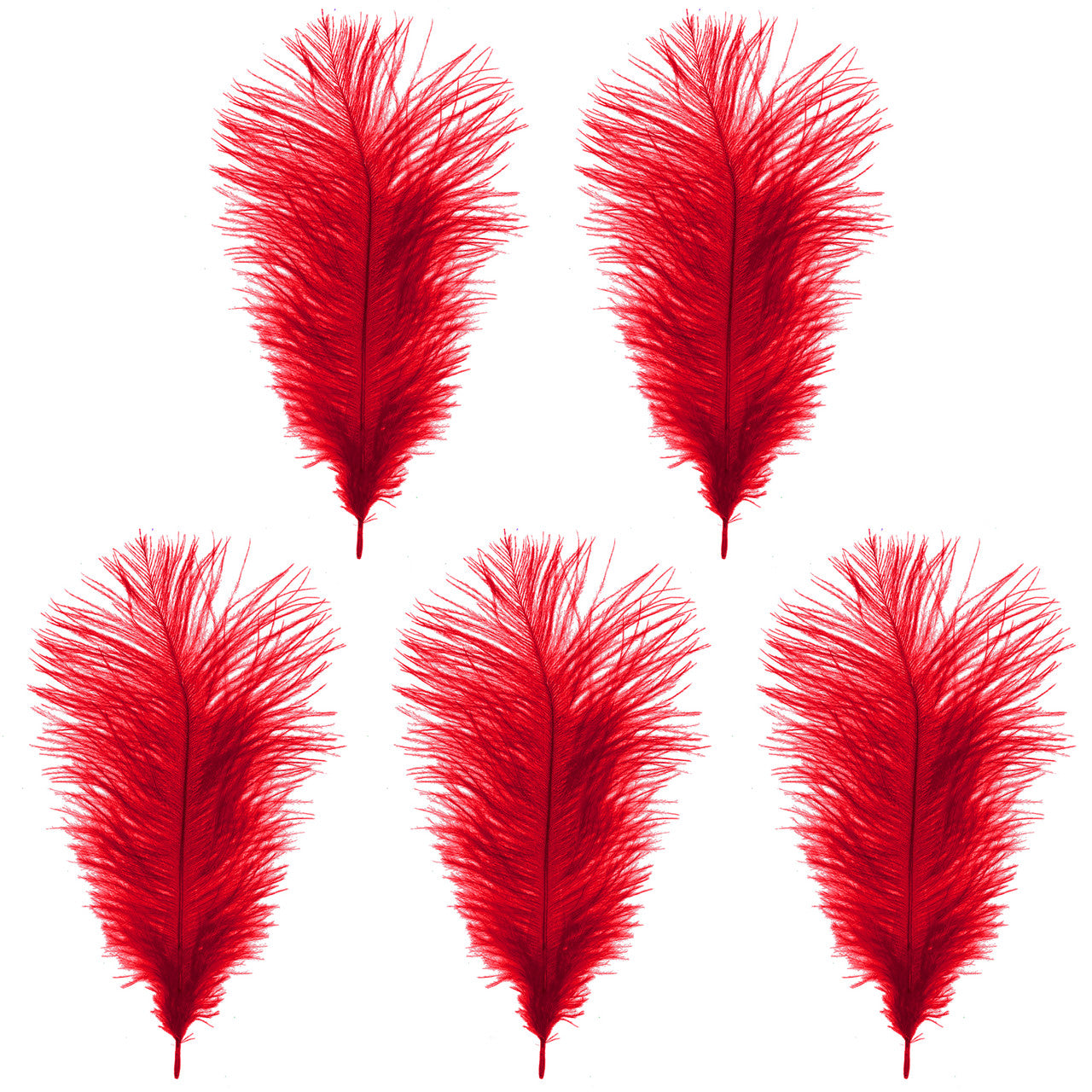 35-40cm Loose Ostrich Feathers, 5pcs - Red