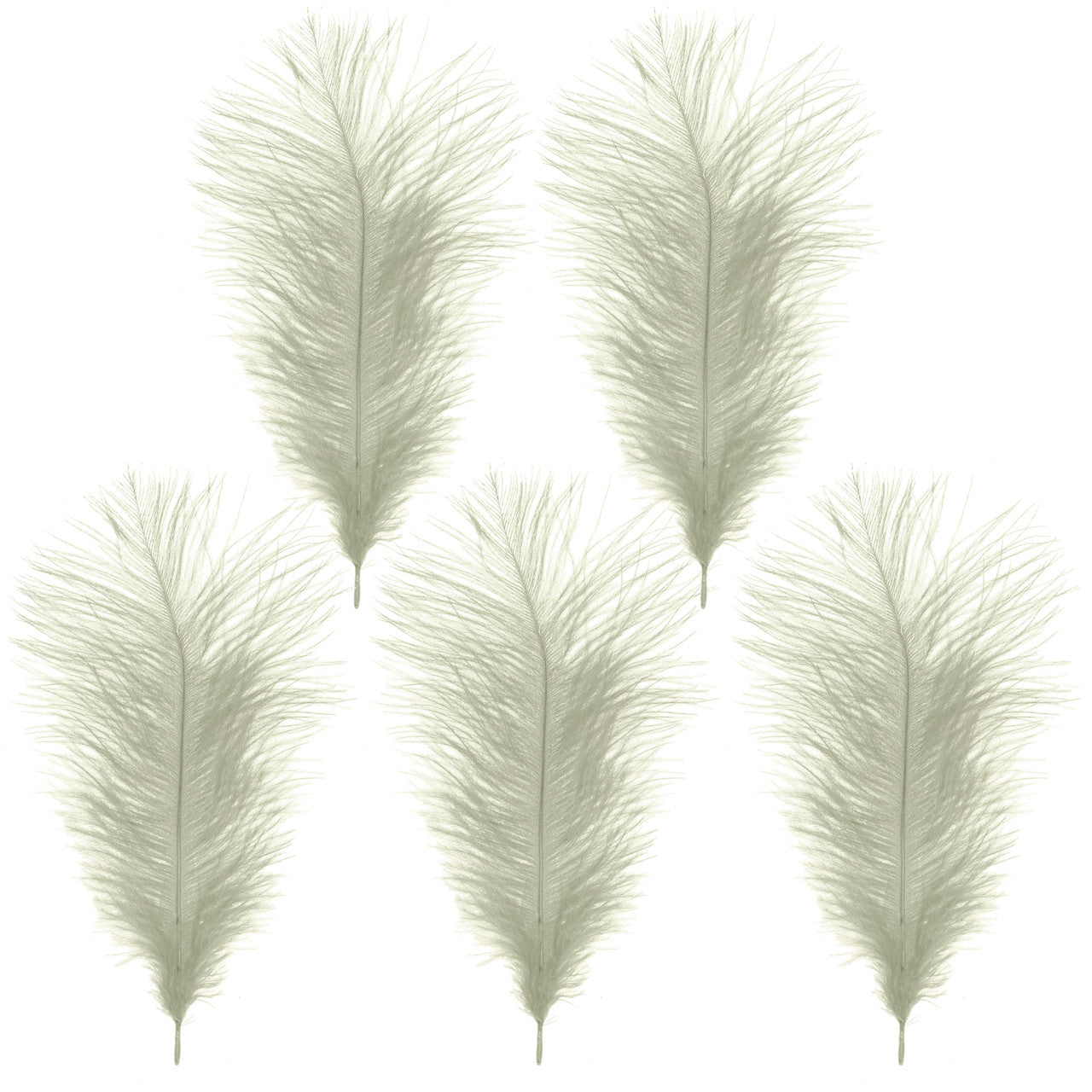 35-40cm Loose Ostrich Feathers, 5pcs - Ivory