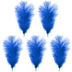 35-40cm Loose Ostrich Feathers, 5pcs - Royal Blue