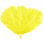 35-40cm Loose Ostrich Feathers, 5pcs - Yellow